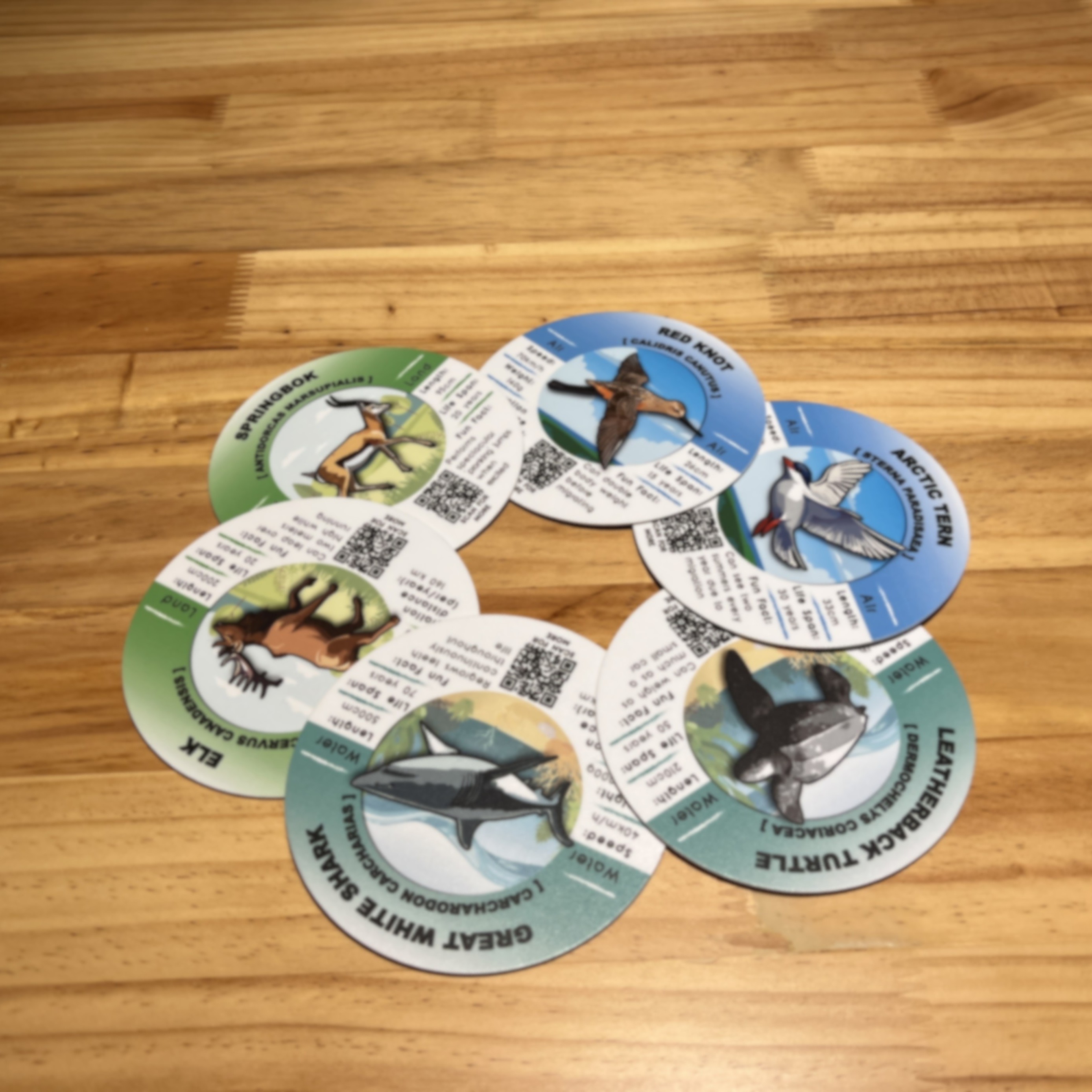 Round Navigators cards displayed on a timber surface