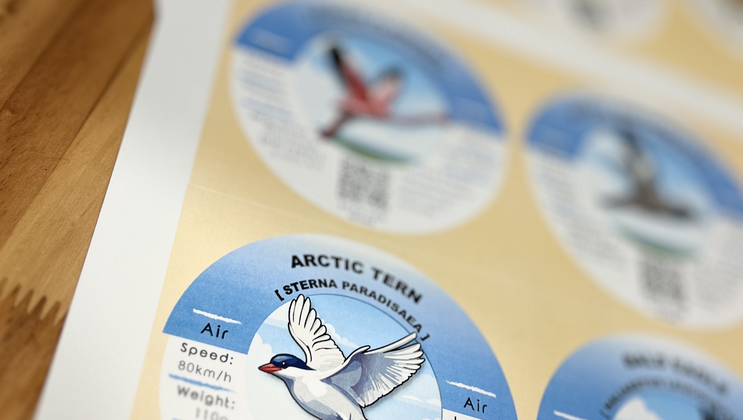Printed card proof sheet used during product development.
